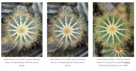 マクロ撮影を試してみる