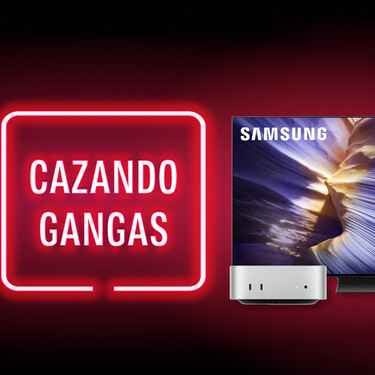 Cazando Gangas