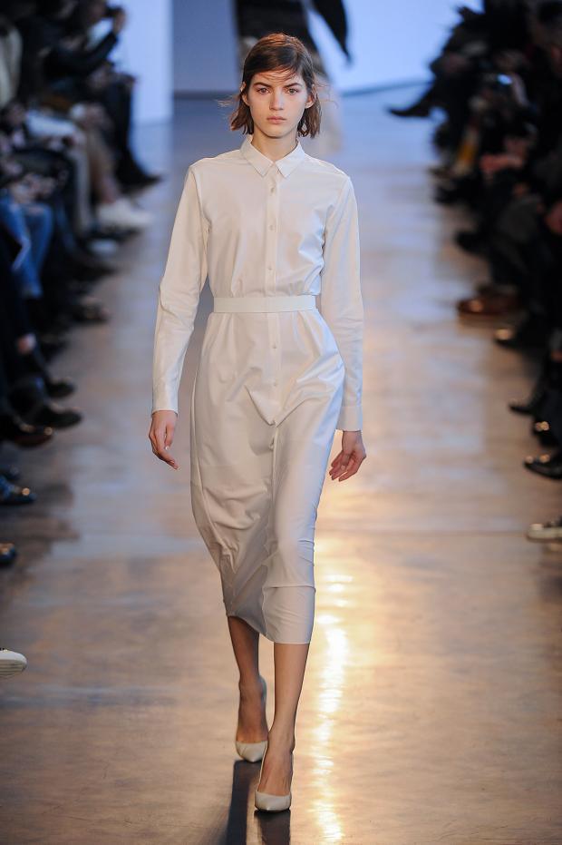 Foto de Theyskens’ Theory Otoño-Invierno 2014/2015 (9/33)