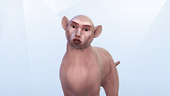 Sims 4 Bug