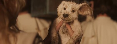 Supergirl estrena nuevo tráiler con una versión de Krypto que te robará el corazón: un poderoso vistazo a lo que nos depara el DCU de James Gunn 