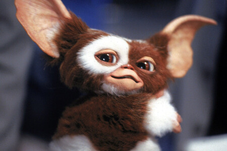 Las 35 mejores películas de Navidad para ver con niños en Netflix, Disney+, Amazon Prime, Movistar+ y HBO 27 gremlins