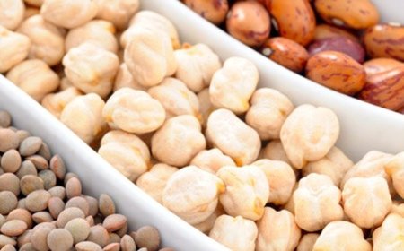 Recetas frescas para niños: legumbres