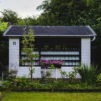 Las ramas y raíces de los árboles y plantas de mi vecino me molestan: esto es lo que dice la ley sobre arrancarlas 