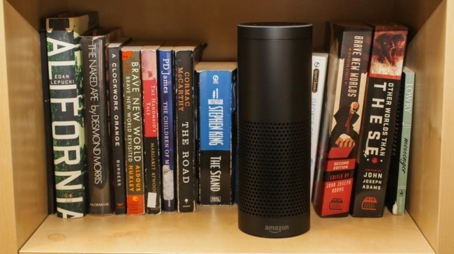 Echo