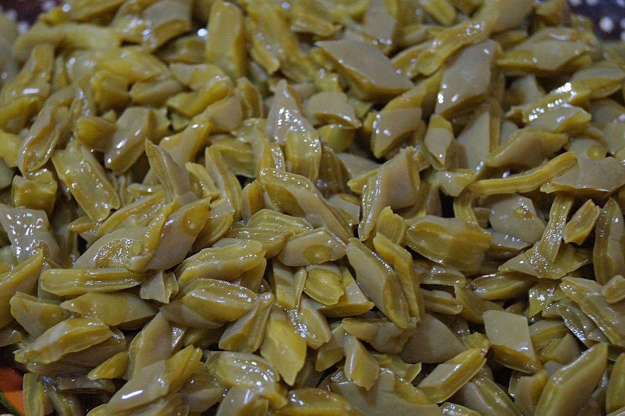 Tuna o nopal propiedades, beneficios y su uso en la cocina