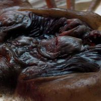 Hoy en streaming: sin esta obra maestra de ciencia ficción, no tendríamos la mejor serie del género de 2025; tan brutal como polémica 