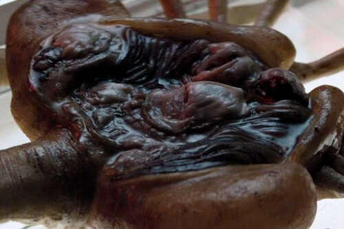 Obra Maestra Ciencia Ficcion Mejor Serie 2025