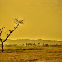 El clima en la Tierra nunca había estado peor que en la actualidad y las consecuencias podrían durar milenios 