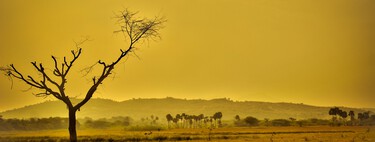 La humanidad está provocando el peor momento climático de la Tierra y no se arreglará en nuestra generación