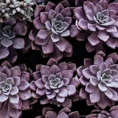 Foto 2 de 5 de la galería fondos-de-patrones en Xataka Android