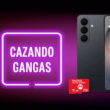 Cazando Gangas