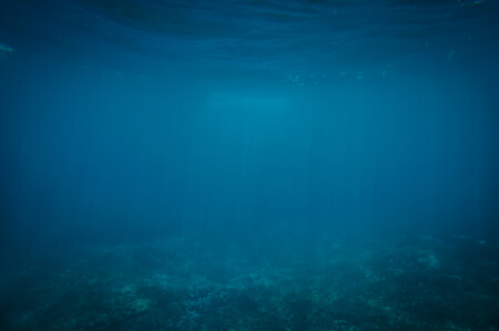 Image From Rawpixel Id 3282354 Original