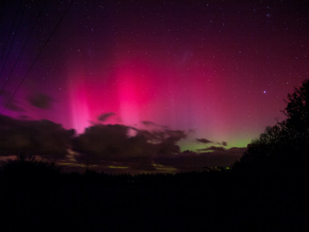 Australis