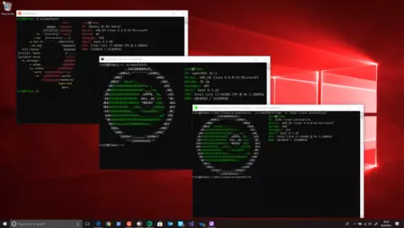 WSL Linux Windows
