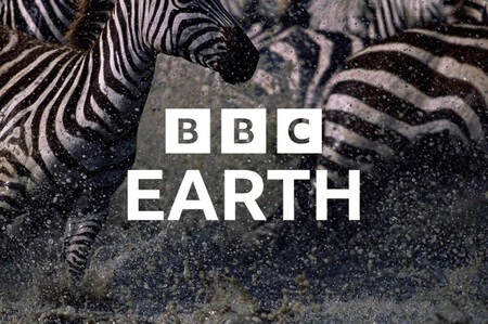 Nuevo canal en España: BBC Earth