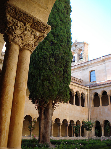 Ciprés de Silos