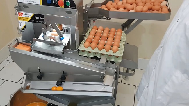Hay una máquina capaz de romper 39.000 huevos a la hora (y observarla