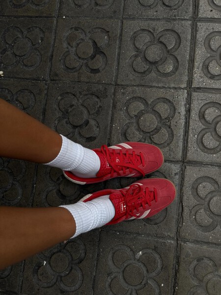 Limpiar Zapatillas Ante