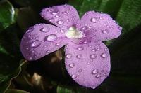 La Violeta, espacio para el juego y la comunicación