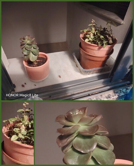 Compo Detalle Noche Magic 8 Lite