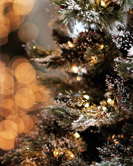 Christmaswho 1764150862110