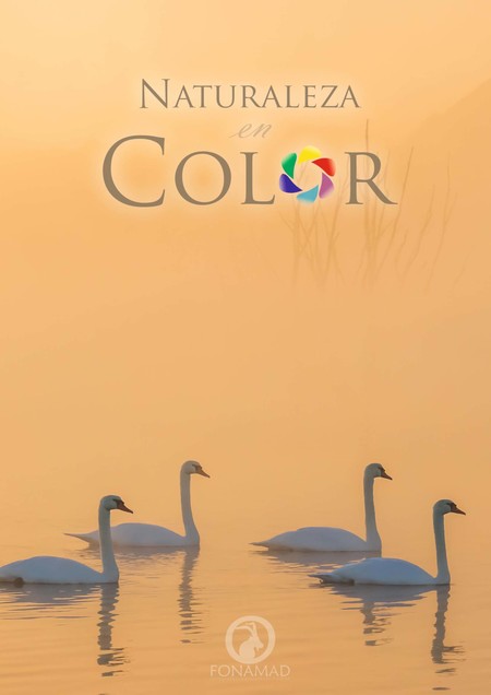 Exponature: "La naturaleza en color", como nunca la habías visto 