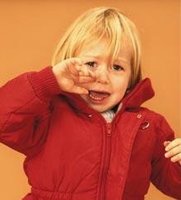 Programa de Notificación y Registro de Situaciones de Riesgo y Maltrato Infantil