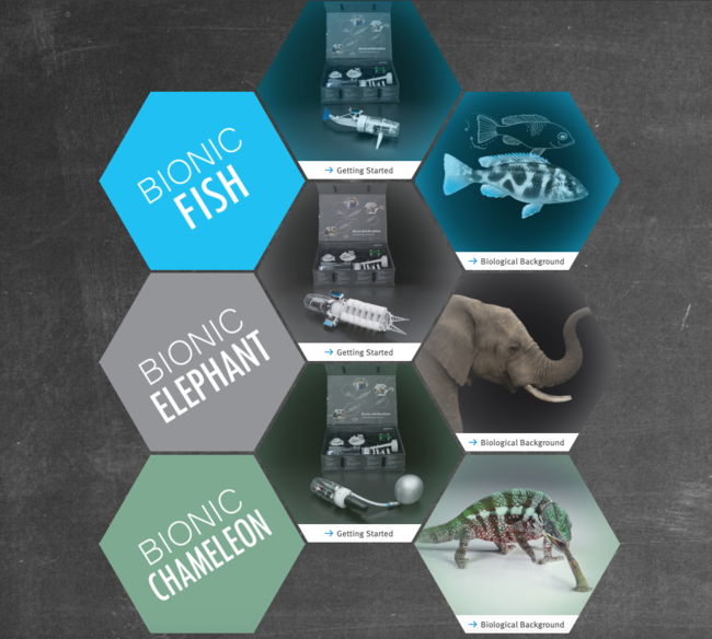 Festo Bionic Kit, análisis: review con características, precio y ...