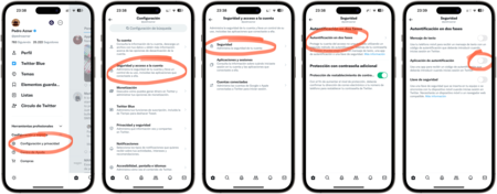 Twitter 2FA iPhone iOS APS
