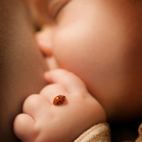 Consejos para hacer fotos de recién nacidos