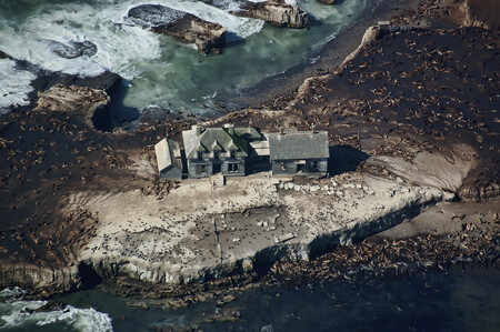 Año Nuevo Island California