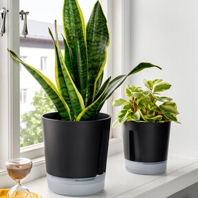 Ikea ha encontrado la forma de que cualquiera pueda mantener viva una planta y cuesta menos de 6 euros
