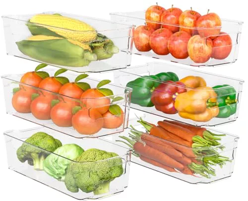 KICHLY Organizadores - Juego de 6 -Compartimentos de almacenamiento sin BPA