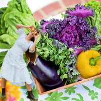 Pese a la polémica por Mercosur, la UE cambia las normas. Las frutas, verduras y por tanto la cesta de la compra, bajarán de precio en España desde el 1 de mayo 