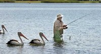 Empleados maduros quieren alternativas al retiro