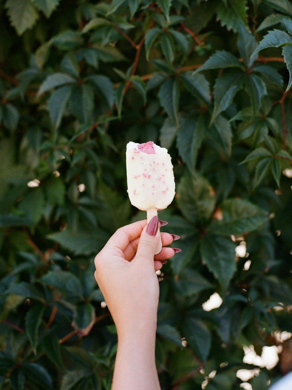 Los helados comprados en las tiendas son cada vez más caros y pequeños. Hacerlos en casa es lo mejor si quieres ahorro y calidad