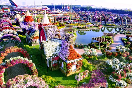 Dubai Miracle Garden 3