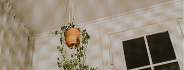 Cinco plantas colgantes que decoran sin ocupar espacio y están triunfando en los salones pequeños 