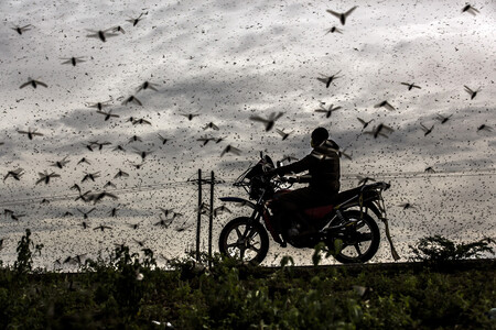Seis españoles optan al premio “fotógrafo del año” al ser elegidos finalistas de los Sony World Photography Awards 2021