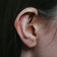 Você sente um zumbido no ouvido com frequência? Pesquisadores descobrem o que pode estar gerando isso 