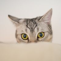 Razones para no tener a tu jefe en tus redes sociales 