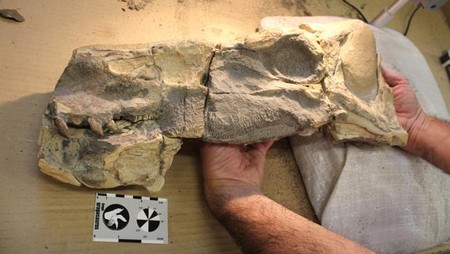 Esto es lo que había en un dinosaurio de hace 180 millones de años