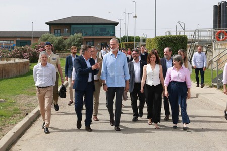 Felipe Y Ayuso