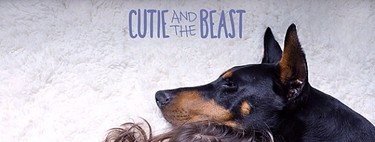 Amores perrunos: adorables imágenes de una niña junto a su mejor amigo, un dóberman de dos años