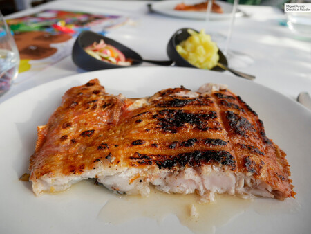 Rey
