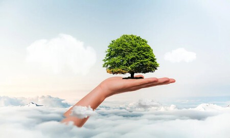 Empresas De La Construccion Ecofriendlys Asi Han Cambiado Los Materiales De Construccion Con Los Anos Aunque No Tanto