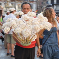 La biznaga, un símbolo malagueño