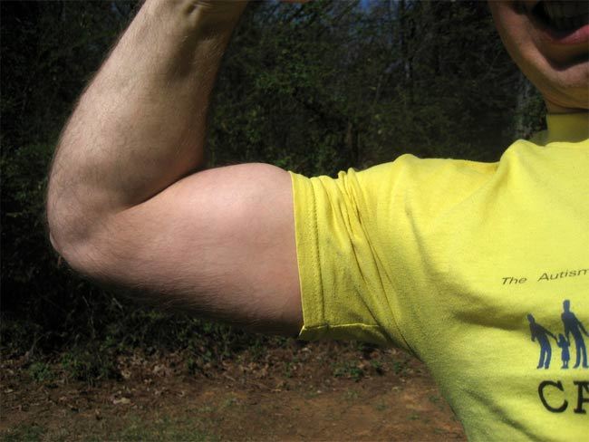 biceps