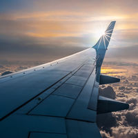 Diseñan un ala más ligera para un Boeing 777 imitando las de las aves